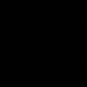 Meet your Posher, Gage